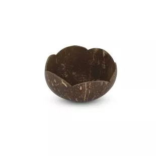 Kokosnuss-Schale Naturel Ø 15 x 9cm SFKTKMN00005